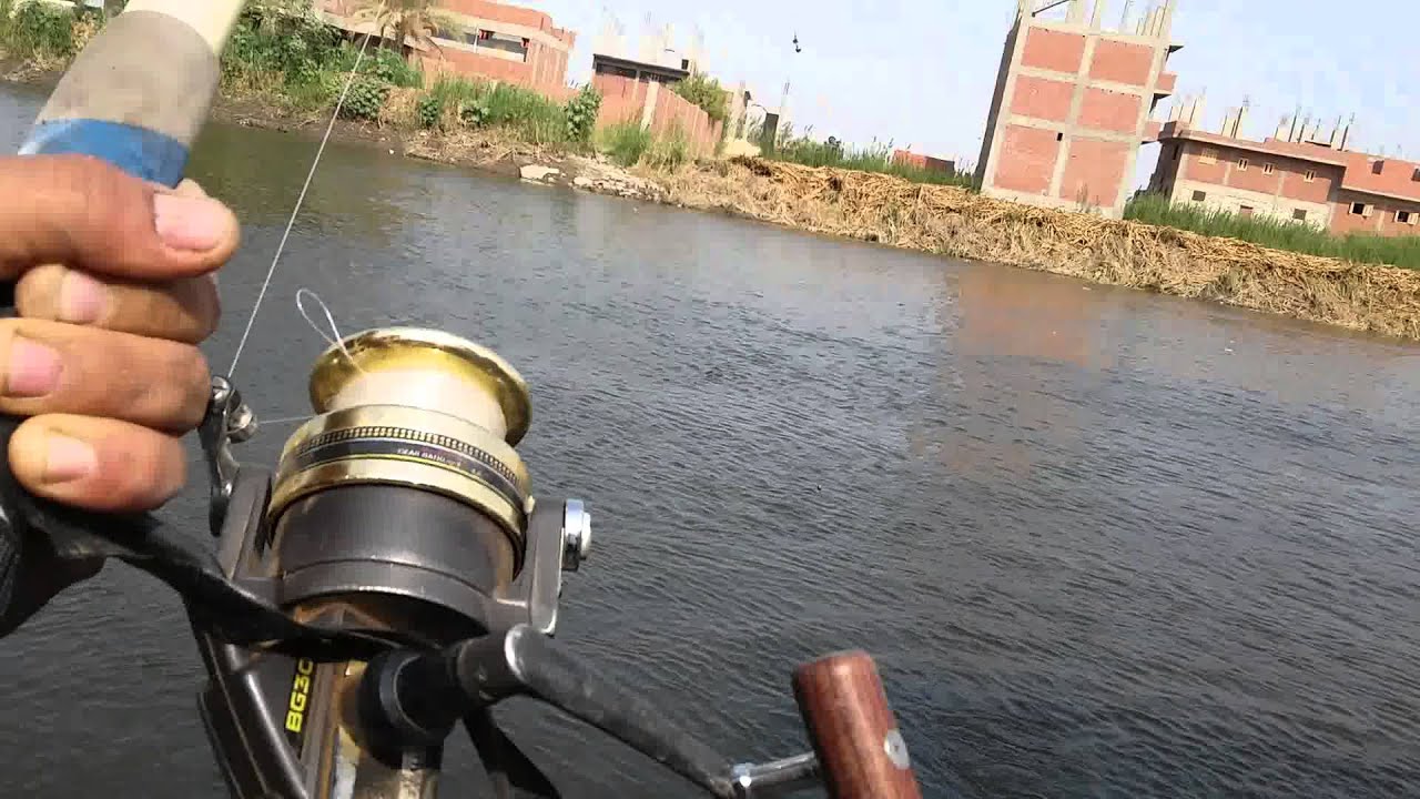 صيد السمك في النيل
