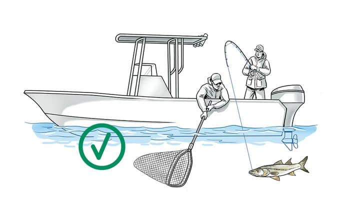 5 نصائح عن الملقاف وأهميته لدى الصيادين .
