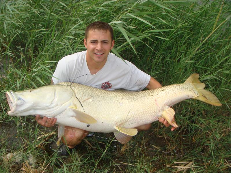 سمك البز .. أكبر الأسماك النهرية حجما