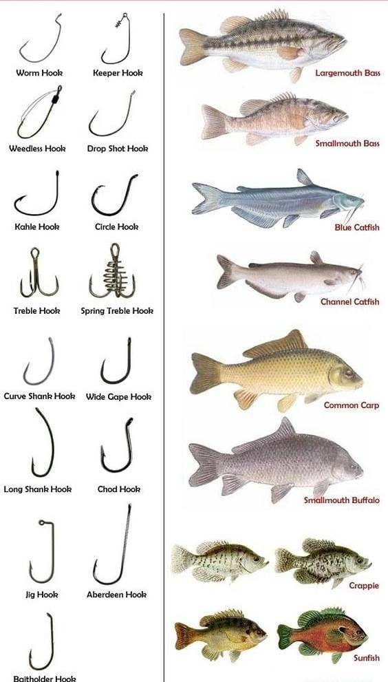 صورة توضح بعض أنواع السنار ونوع السمك المناسب له في الصيد !!