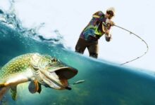 أخطاء تقنية قاتلة في الصّيد