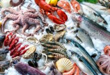 أغرب المأكولات البحرية و فوائدها الصحية و الجمالية