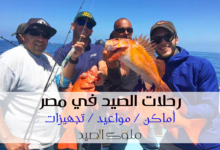 رحلات صيد سمك في مصر
