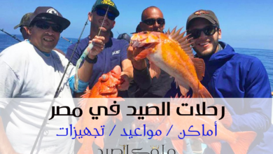 رحلات صيد سمك في مصر
