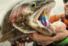كيفية استعمال الطعم الصناعى فى صيد الأسماك