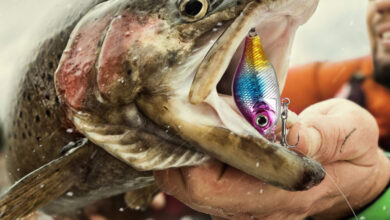 كيفية استعمال الطعم الصناعى فى صيد الأسماك