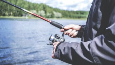 نصائح لصيد الأسماك للمبتدئين