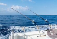 للمحترفين أهم مصطلحات صيد السمك