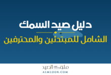 صورة بارزة للمقال 4486