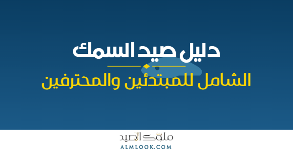 صورة بارزة للمقال 4486