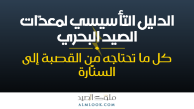 صورة بارزة للمقال 4493