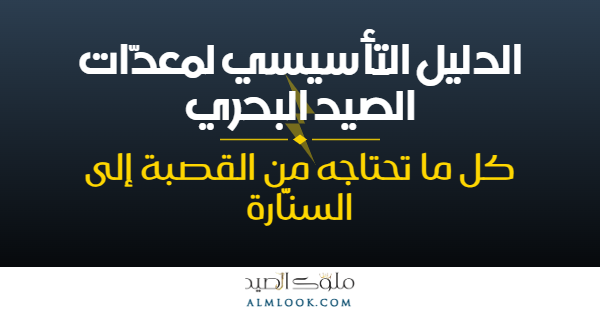صورة بارزة للمقال 4493