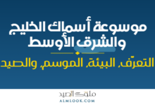 صورة بارزة للمقال 4494