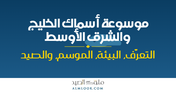 صورة بارزة للمقال 4494