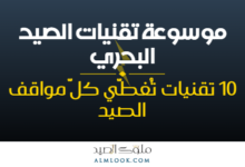 صورة بارزة للمقال 4495