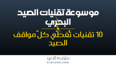 صورة بارزة للمقال 4495