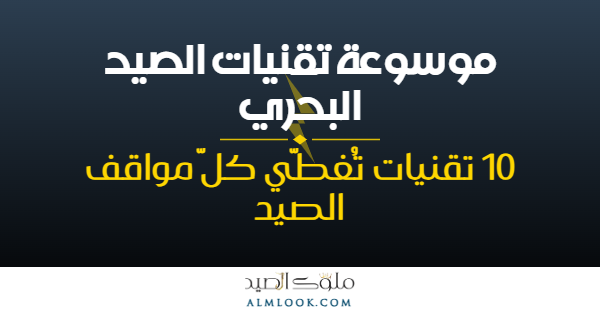 صورة بارزة للمقال 4495