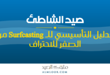صورة بارزة للمقال 4496