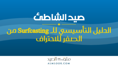 صورة بارزة للمقال 4496