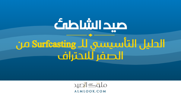 صورة بارزة للمقال 4496