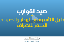 صورة بارزة للمقال 4497