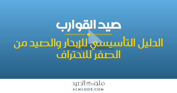 صورة بارزة للمقال 4497