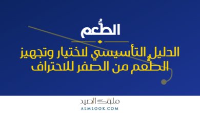 صورة بارزة للمقال 4498
