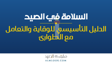 صورة بارزة للمقال 4499