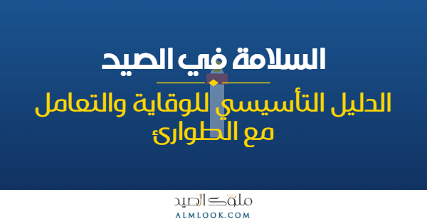 صورة بارزة للمقال 4499