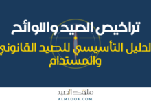 صورة بارزة للمقال 4500