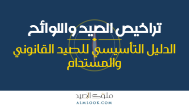 صورة بارزة للمقال 4500