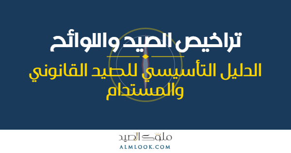 صورة بارزة للمقال 4500
