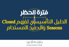 صورة بارزة للمقال 4501