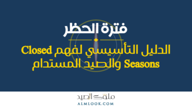 صورة بارزة للمقال 4501