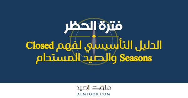 صورة بارزة للمقال 4501