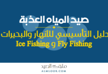 صورة بارزة للمقال 4502