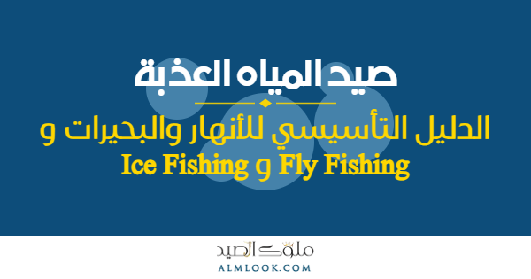 صورة بارزة للمقال 4502
