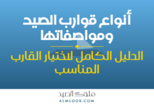 صورة بارزة للمقال 4503