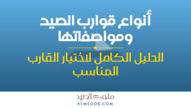 صورة بارزة للمقال 4503