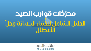 صورة بارزة للمقال 4505