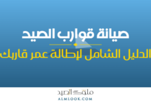 صورة بارزة للمقال 4506