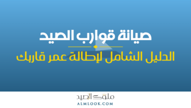صورة بارزة للمقال 4506