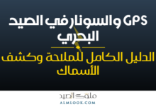 صورة بارزة للمقال 4507