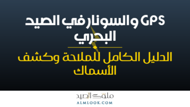 صورة بارزة للمقال 4507