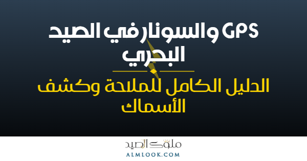 صورة بارزة للمقال 4507