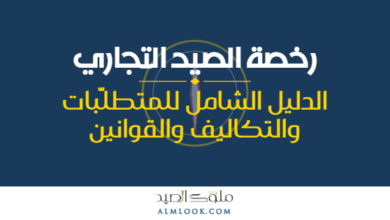 صورة بارزة للمقال 4509