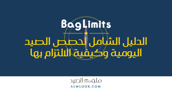 صورة بارزة للمقال 4510