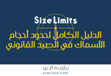 صورة بارزة للمقال 4511