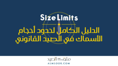 صورة بارزة للمقال 4511