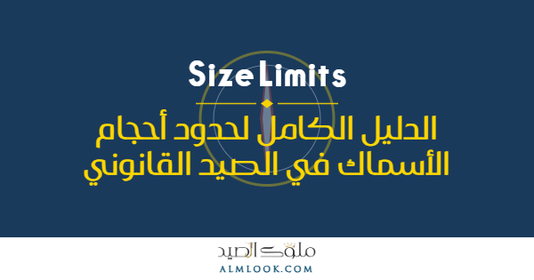 صورة بارزة للمقال 4511